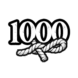 1000 Noeuds